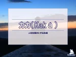 【名言集】カカの名言・格言（英語原文や意味と背景も）